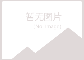 铁山区伤口建设有限公司